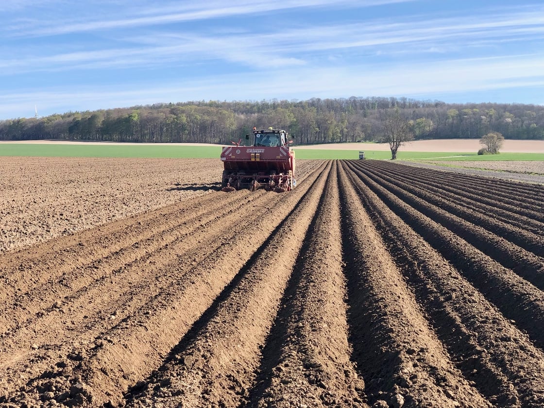 PotatoEurope 2022 planting for machinery demonstrations